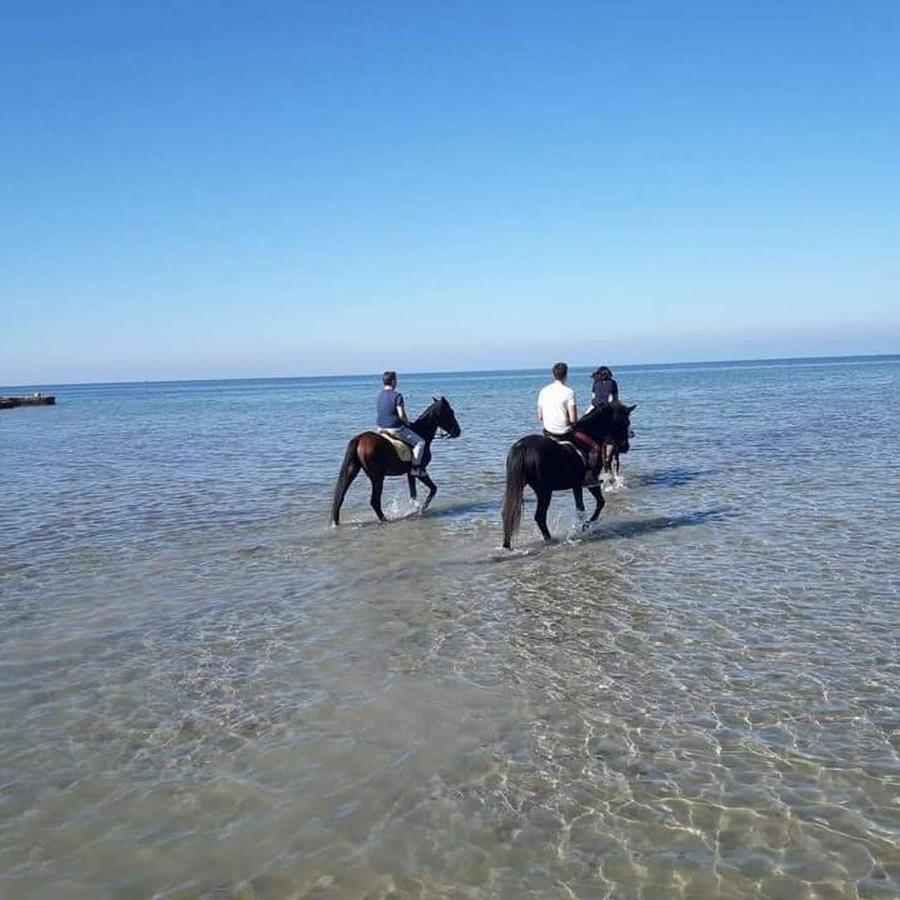 مبيت وإفطار Kite House Marsala Stagnone المظهر الخارجي الصورة